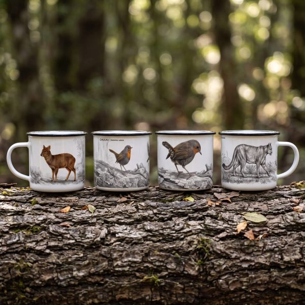4 Tazas enlozadas
